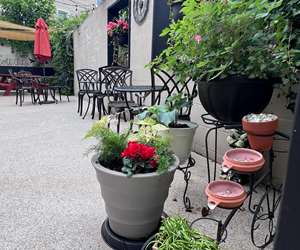 Patio Garden