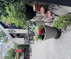 Patio Garden