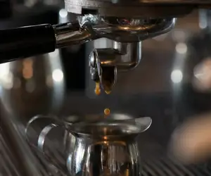 Espresso Shots