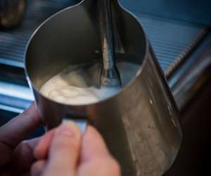 Steaming Milk, Foam for Latte